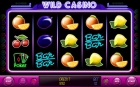 WILD CASINO